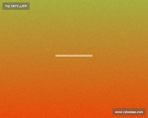 门兴格拉德巴赫的历史辉煌与未来挑战：德甲劲旅的崛起与重塑之路